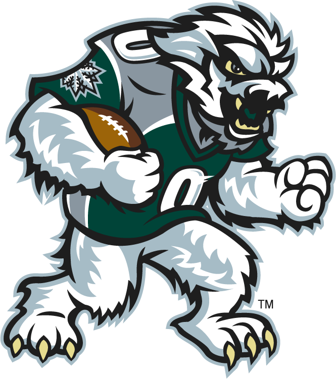 Green Bay Blizzard 2010-2014 Mascot Logo iron on transfers for clothing